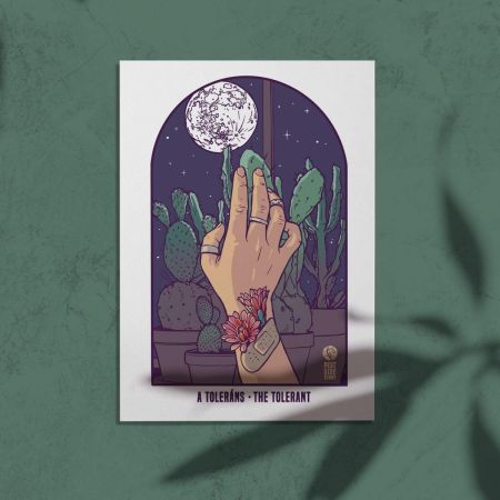 A tolerns - The tolerant