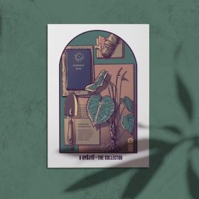  A gyjt - The collector